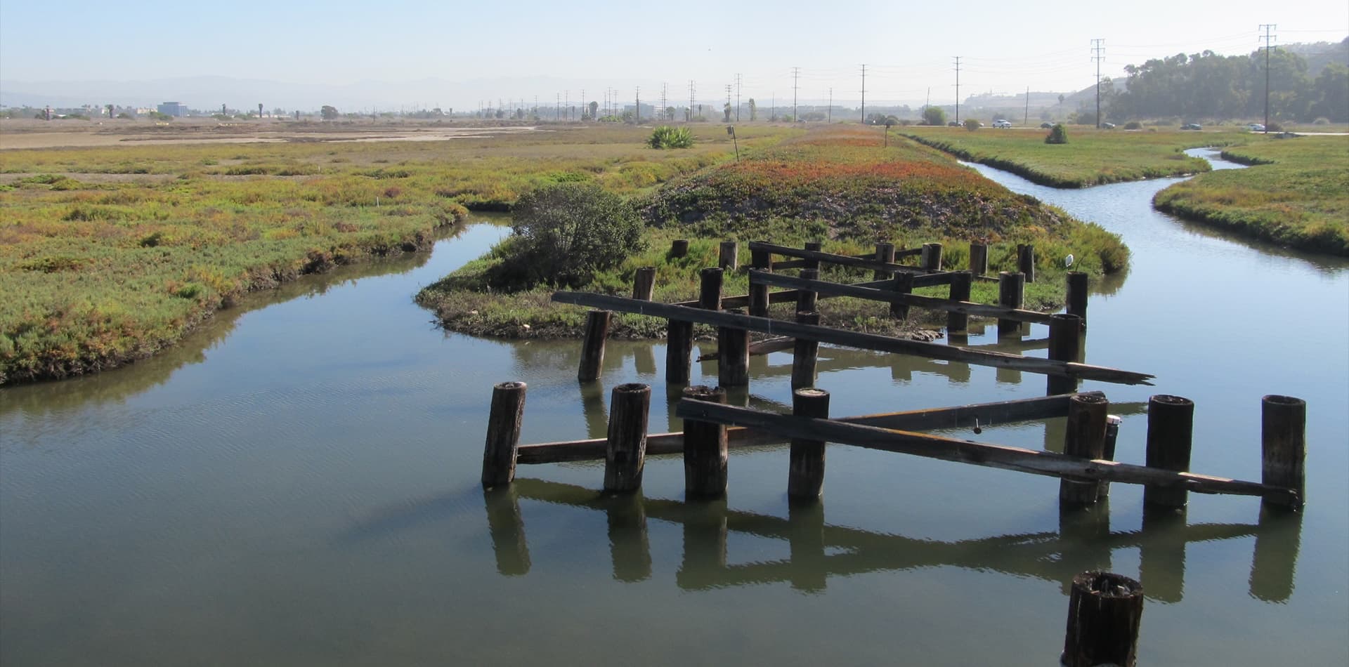 Meadow wetland under blue sky