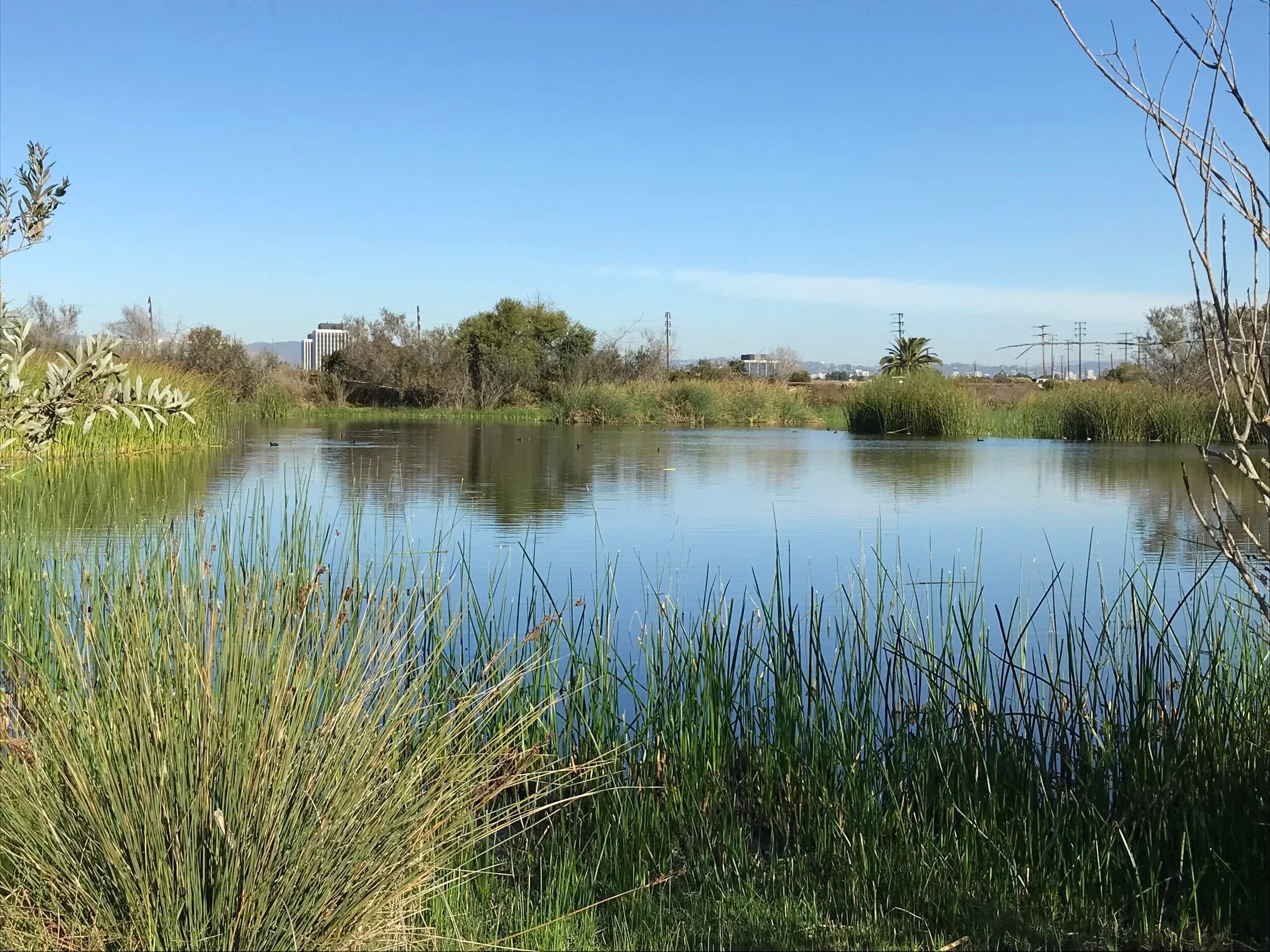 San Gabriel watershed reservoir interface